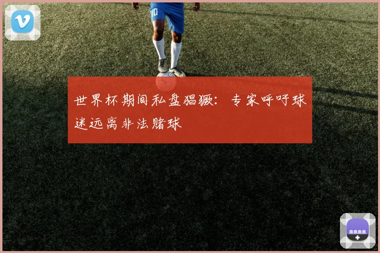 世界杯期间私盘猖獗:专家呼吁球迷远离非法赌球