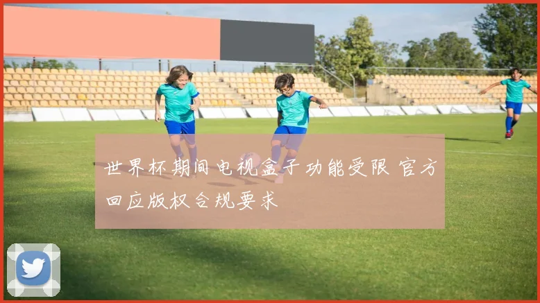 世界杯期间电视盒子功能受限 官方回应版权合规要求
