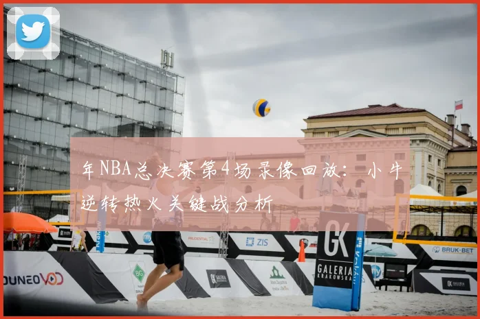 年NBA总决赛第4场录像回放：小牛逆转热火关键战分析