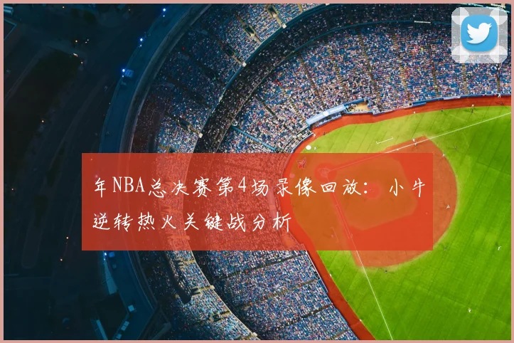 年NBA总决赛第4场录像回放：小牛逆转热火关键战分析