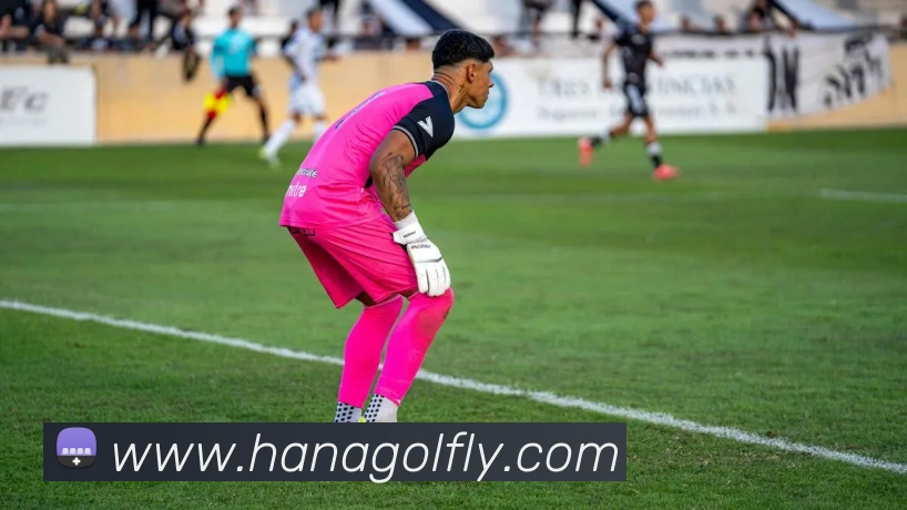 米兰体育在线登录入口发展历程